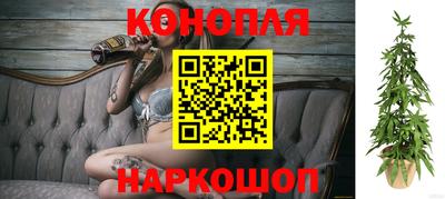 прущие грибы Новокубанск
