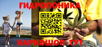 прущие грибы Новокубанск