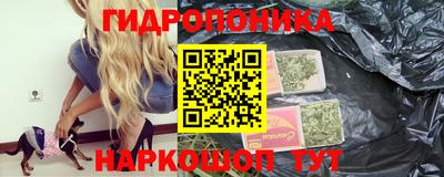 прущие грибы Новокубанск